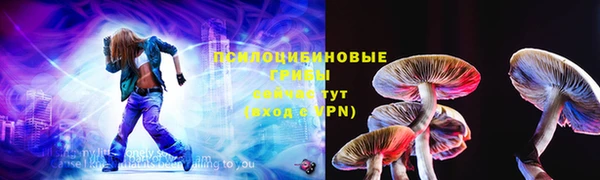 ПСИЛОЦИБИНОВЫЕ ГРИБЫ Алексеевка